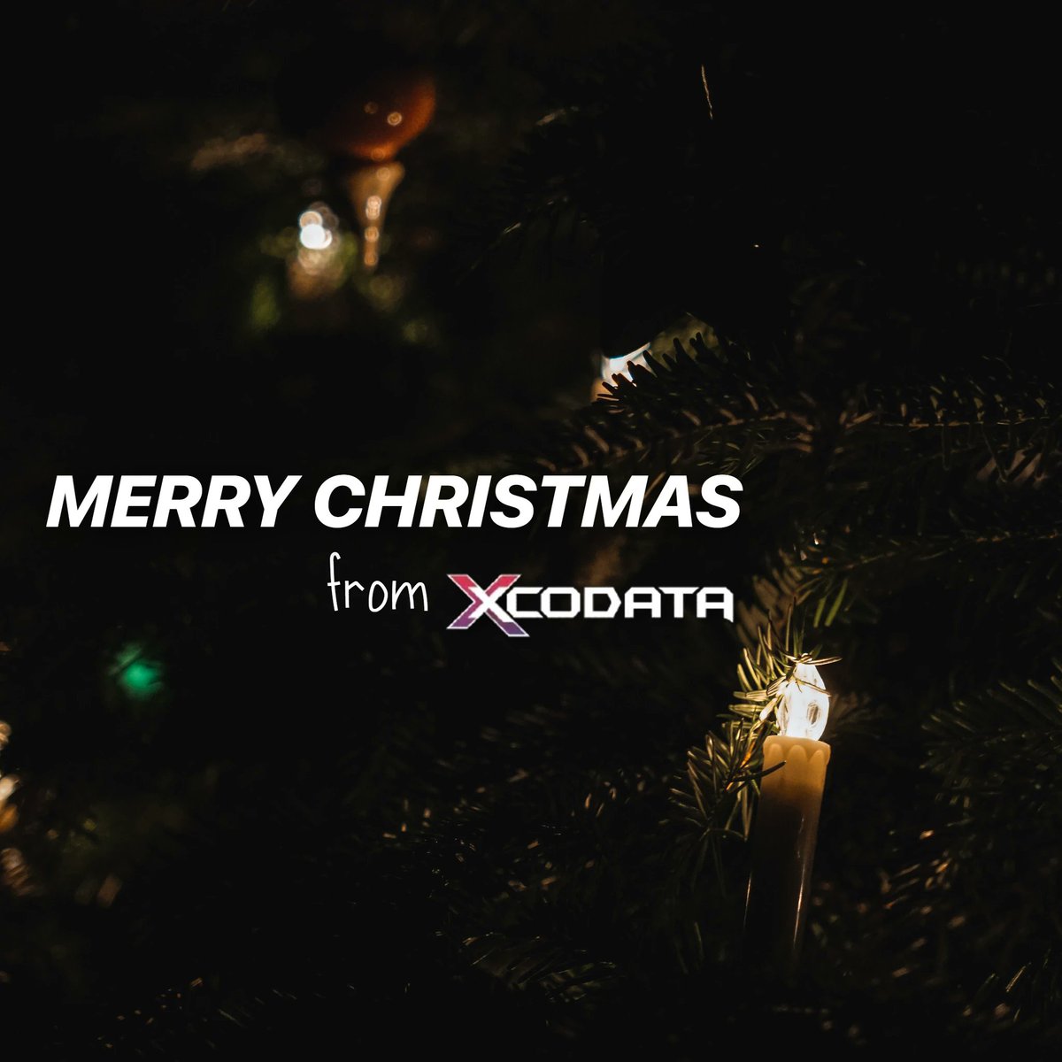 XCODATA.com tweet media