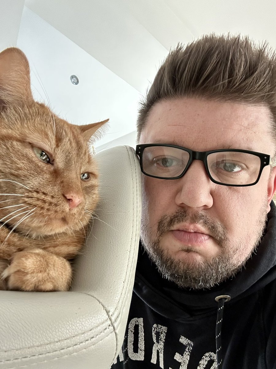 MrRobTaylor's tweet image. Chilling with Le Chat. Operation Christmas Table is going on in the other room, and neither of us are welcome