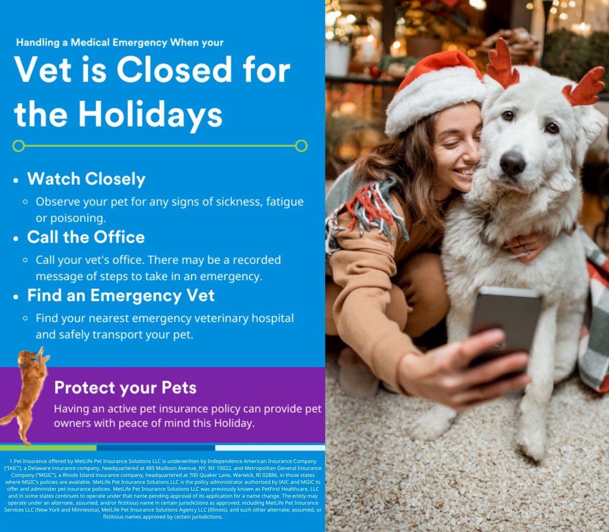 MetLife Pet Insurance (@MetLife_Pet) / Twitter MetLife Pet Insurance (@MetLife_Pet) / Twitter