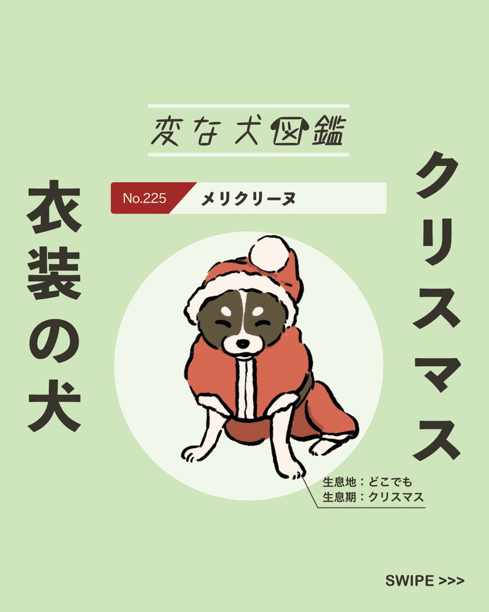 【#変な犬図鑑】
No.225 メリクリーヌ
クリスマスムードのあの犬です。
なお、トナカイの時もあり。 