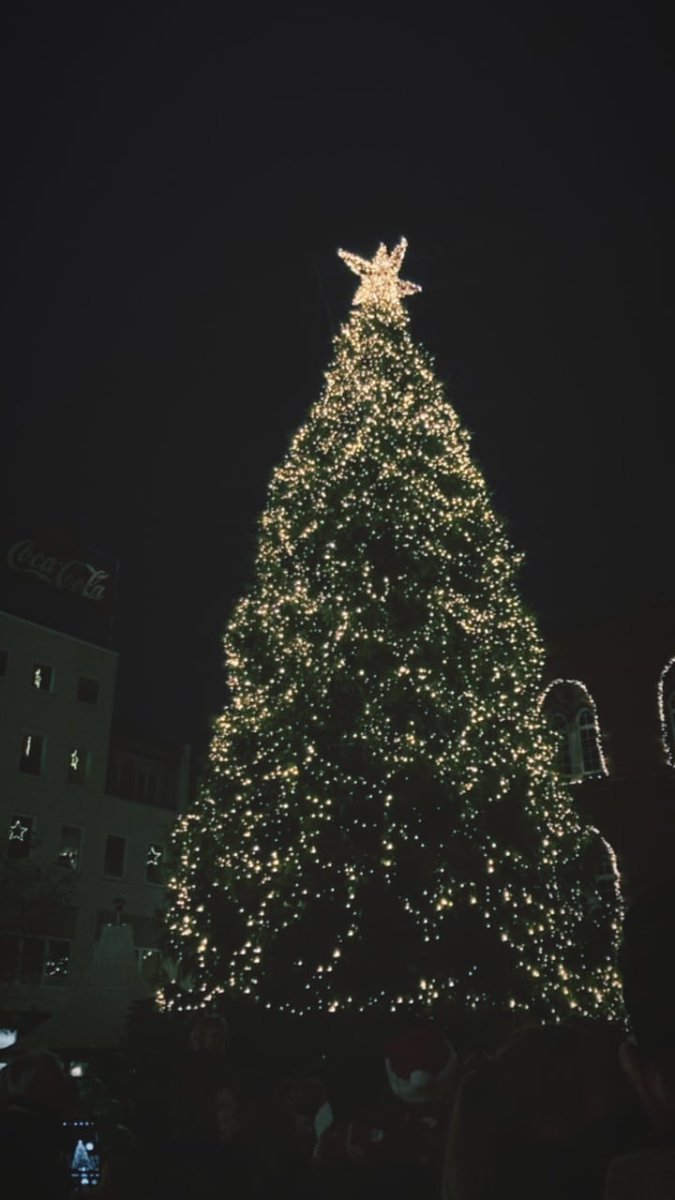 บ้านเรามี christmas tree นะ