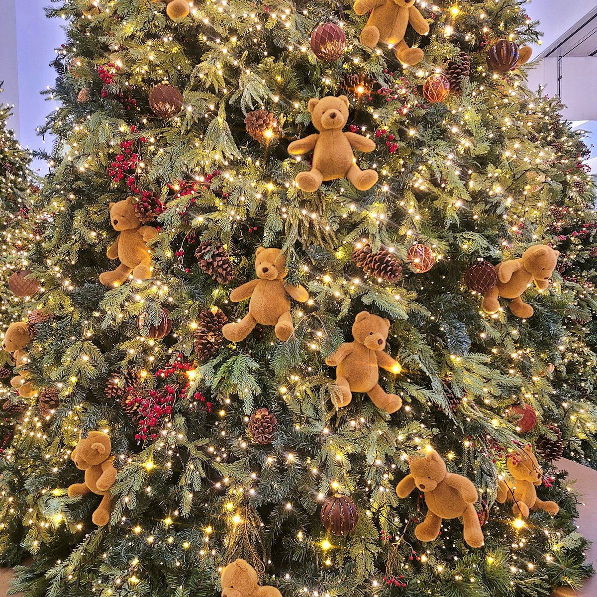 .　　 　  ☆
　　 　  ／＼
　 　  ／ ★∴＼
　 　 (人_人_人)
　   ／  ∴∵★    ＼
　 (_人_人_人_人_)
　 ／  ☆∴∵∴     ＼
　(_人★人☆人★_)
　　     ￣凵￣
𝑴𝒆𝒓𝒓𝒚 𝑪𝒉𝒓𝒊𝒔𝒕𝒎𝒂𝒔🎄🎁🎅✨️
곰돌이 트리에서 루돌프잊냥이🐱도 귀염 뽐내기.ᐟ.ᐟ