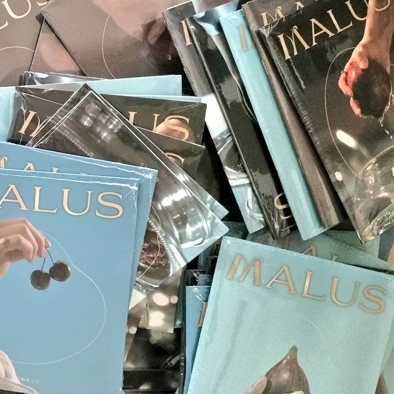 sparks_cart's tweet photo. SEALED ONEUS MALUS EDEN VER GIVEAWAY (PH ONLY)

merry christmas nagpost ng us record si dongju 🥹🥹🥹

mechanics
1. must be following
2. rt &amp; like twt 

*1 winner! (winner to shoulder lsf thru ggx
*will close dec 25 6pm
*all mem vers avail except for seoho and xion https://t.co/FOU01JnUNk