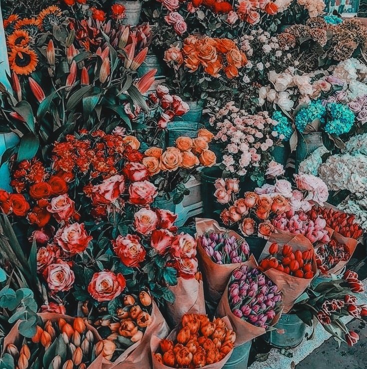 . 🍁  ·
　　    　 ✨    .
                    ㅤ　·    ˚ 　  🍁   .
ㅤ     ▰▰  𝐌𝐄𝐑𝐑𝐘 𝐂𝐇𝐑𝐈𝐒𝐓𝐌𝐀𝐒
                  ❝  𝐖𝐄 𝐀𝐑𝐄 𝐆𝐑𝐎𝐎𝐓 ❞
       *　　 　　　     　.       *      ✨