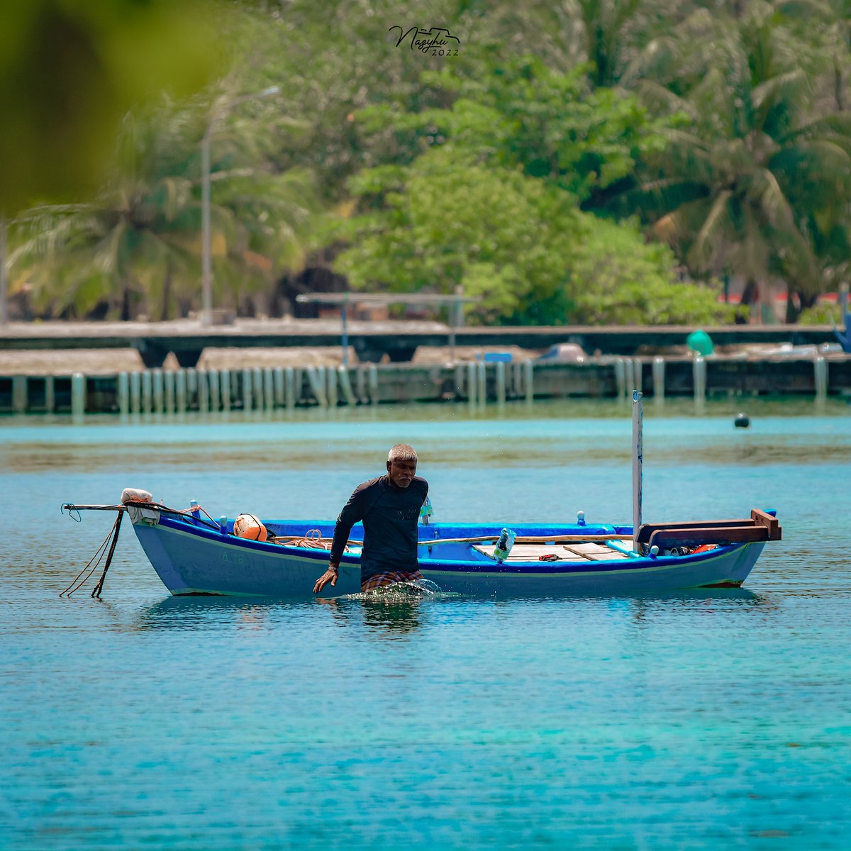 Nazyhu21's tweet photo. ރަށްފުށު ދިރިއުޅުން މާ ހިތްގައިމު.❤🏝
#VisitBaarah #ExploreHaaAlif https://t.co/pMmKnlj7BG