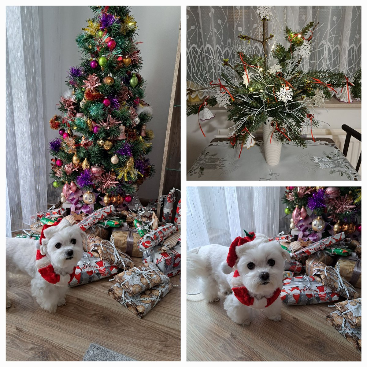 Merry Christmas to everyone!💝💫