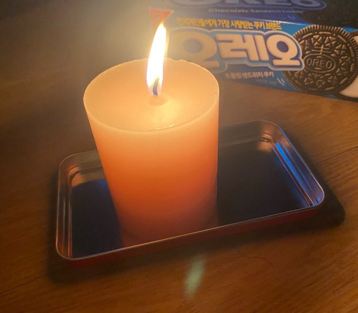 핑쿠초랑 오레오와 함께하는 메리크리스마스
소원아 이루어져라👰🏻‍♀️