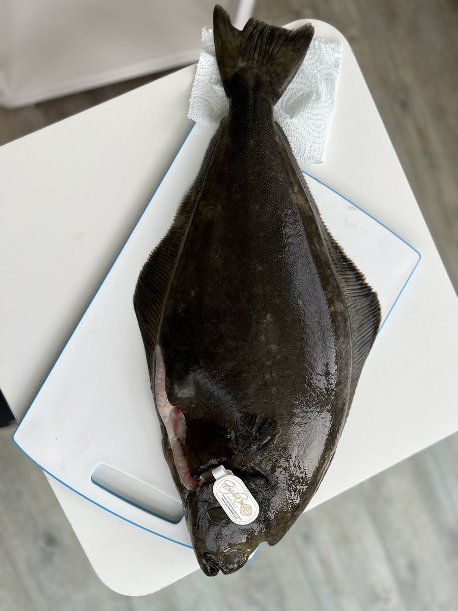 WeeDalryDairy's tweet photo. Christmas Eve dinner for us, a beautiful Halibut from Gighahalibut, supplied by the wonderful people at The Golden Trawler, now to get filleting and making a stock #scottishfish #scottishseafood https://t.co/emiv3EhuDa