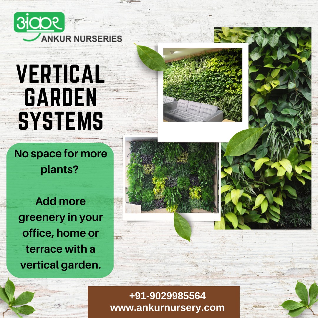 AnkurNurseries's tweet photo. No space for more plants? Add more greenery in your office, home or terrace with a vertical garden.
#ankurnursery #ankurnurseries #indoorplants #airpurifyingplants #officeplants #verticalgarden
#officeinterior #homeinterior
#officedecor
#homedecor
#biowall #greenwall https://t.co/BlEsIMGpfA