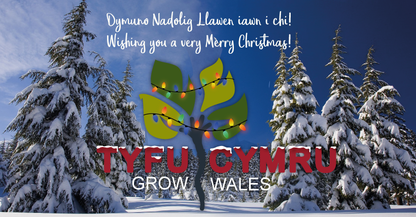 Dymunwn Nadolig Llawen iawn a Blwyddyn Newydd Dda i'n holl ddilynwyr 🎄 

Diolch am eich cefnogaeth drwy'r flwyddyn!

We wish a very Merry Christmas and a Happy New Year to all of our followers 🎄

Thank you for your support throughout the year!