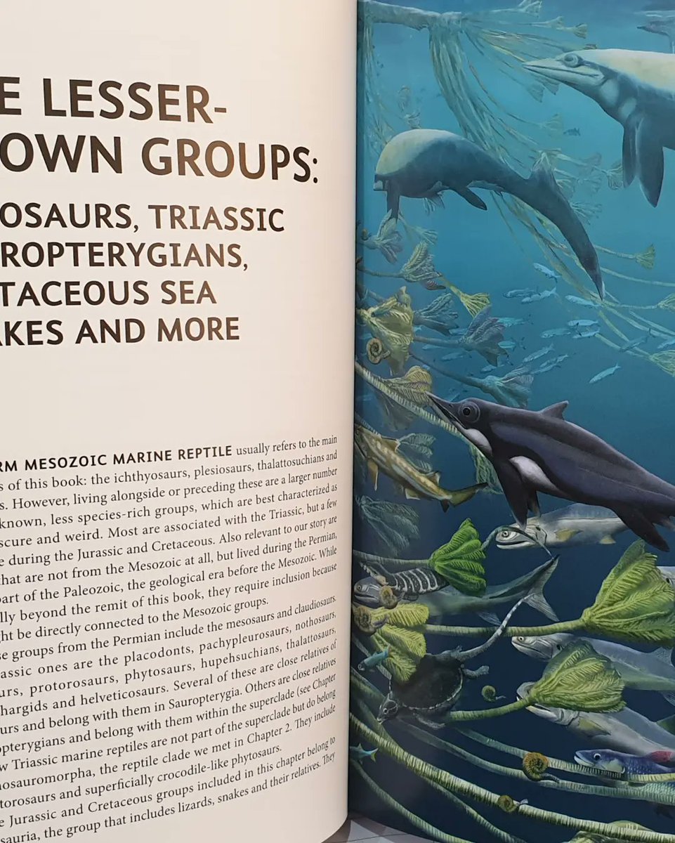 TetZoo's tweet photo. @MarkWitton @Dansdoodles2000 @BrianEngh_Art Yes, what Mark said. I discuss this subject in #AncientSeaReptiles, my new book to be published early 2023 (and with a chapter on #thalattosuchians). https://t.co/6ZGl4AOVqz