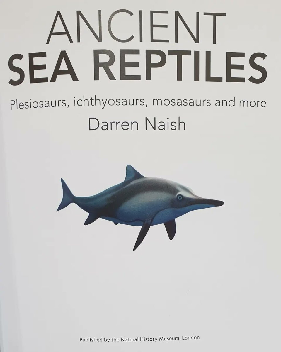 TetZoo's tweet photo. @MarkWitton @Dansdoodles2000 @BrianEngh_Art Yes, what Mark said. I discuss this subject in #AncientSeaReptiles, my new book to be published early 2023 (and with a chapter on #thalattosuchians). https://t.co/6ZGl4AOVqz