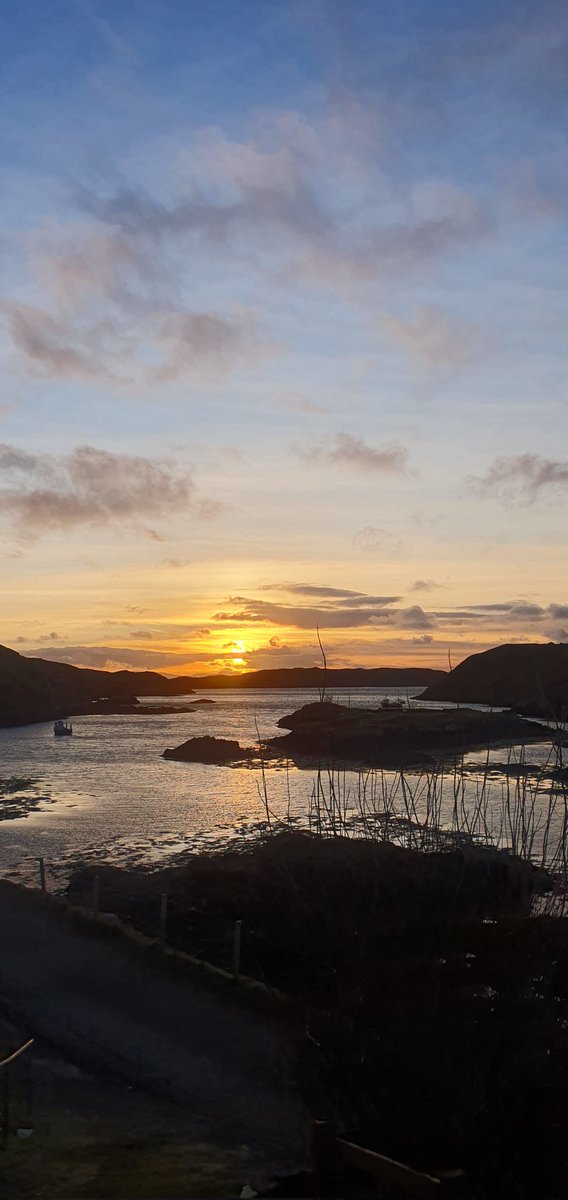 Tormod MacLeod tweet media