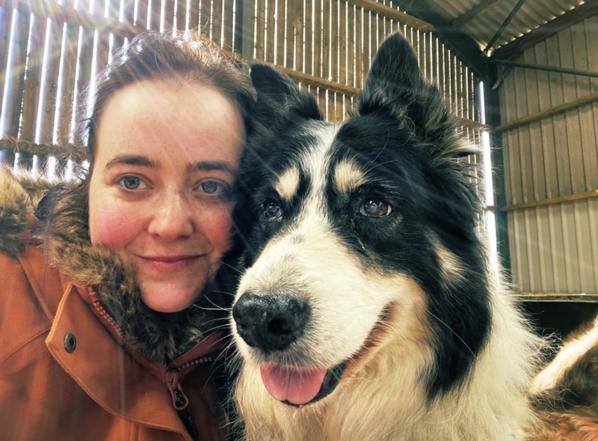 Alison Woodall tweet media