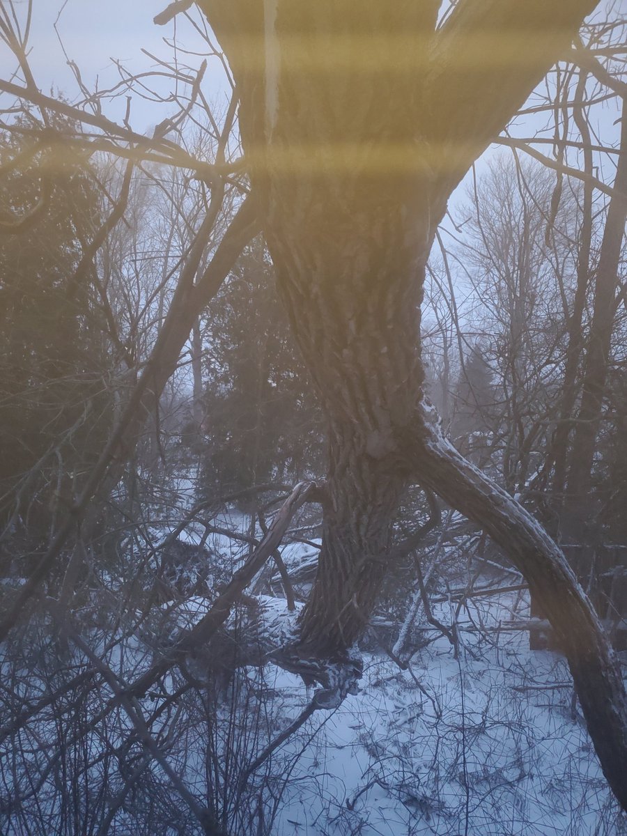 lucilleellis's tweet photo. The culprit that has kept #viarail #train55 stuck since last night.
17 hours on the train. Made some new friends. Slept on the floor. Booked and then cancelled a hotel room. It's a Christmas Eve to remember. https://t.co/inoZCkCg3y