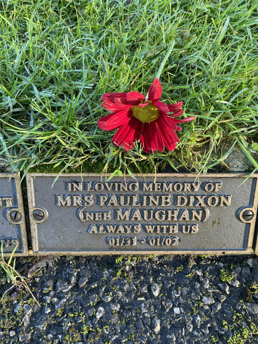 Graham Tate tweet media