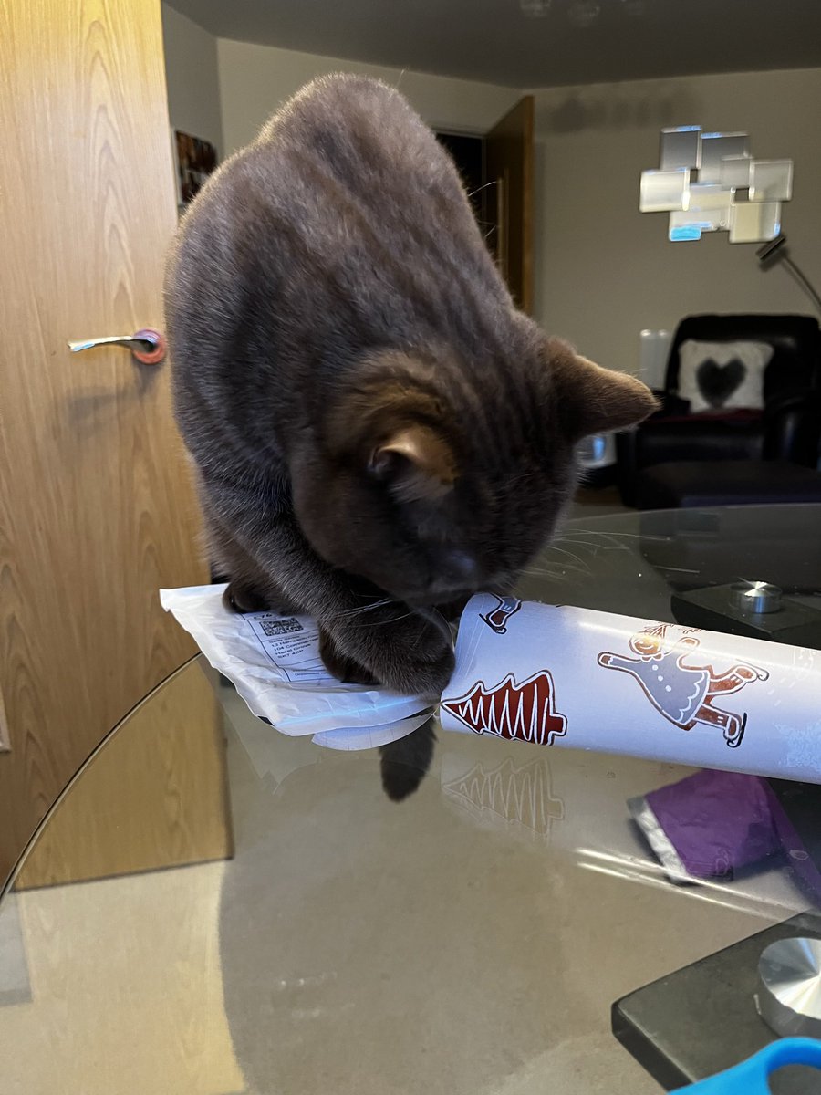 Christmas presents all wrapped now. Thanks for the help Molly!