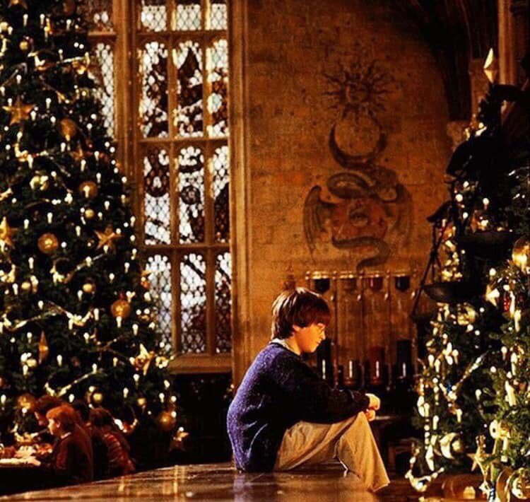 ใคร ๆ ก็อยากไป Christmas ที่ฮอกวอตส์กันปะ🎄🌟🎁🎅🏻