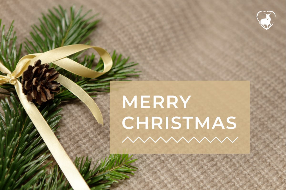 Merry Christmas!🌟We thank you for your commitment to, collaboration w/, &amp; continuous support for the AbTF. We are looking forward to continuing our fruitful co-operation &amp; exchange in 2023. Wishing you all the best for the festive season &amp; a healthy &amp; successful year in 2023.