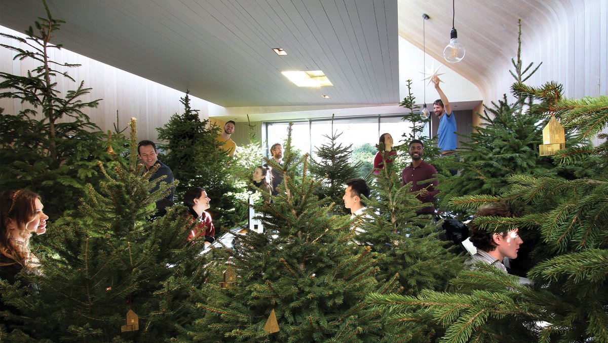 🎄🎄 Merry Christmas and a happy New Year from all the Studio McLeod team...and these 14 Christmas Trees!  We'll be back in the Studio on January the 3rd. 🎄🎄