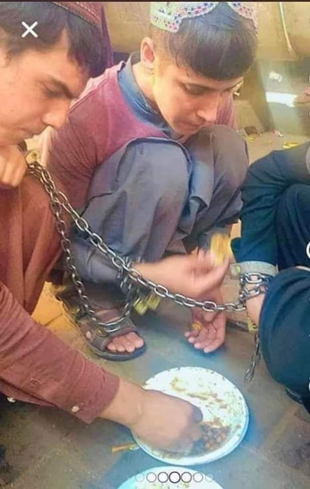 HajiMSher's tweet photo. دغه عکسونه د طالب دہ افغان ملت دہ بربادی غټ ثبوت دی ، افغان خوندې و بچې له دغې بې ناموس ډلې له عمله بې عزته کیږی 
#LetAfghanistanGirlsLearn 
@HashamReegwal @wahabkakar8 @ https://t.co/l3eq6mP9vo