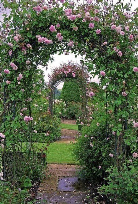 🌸 a garden of pretty flowers 🌸