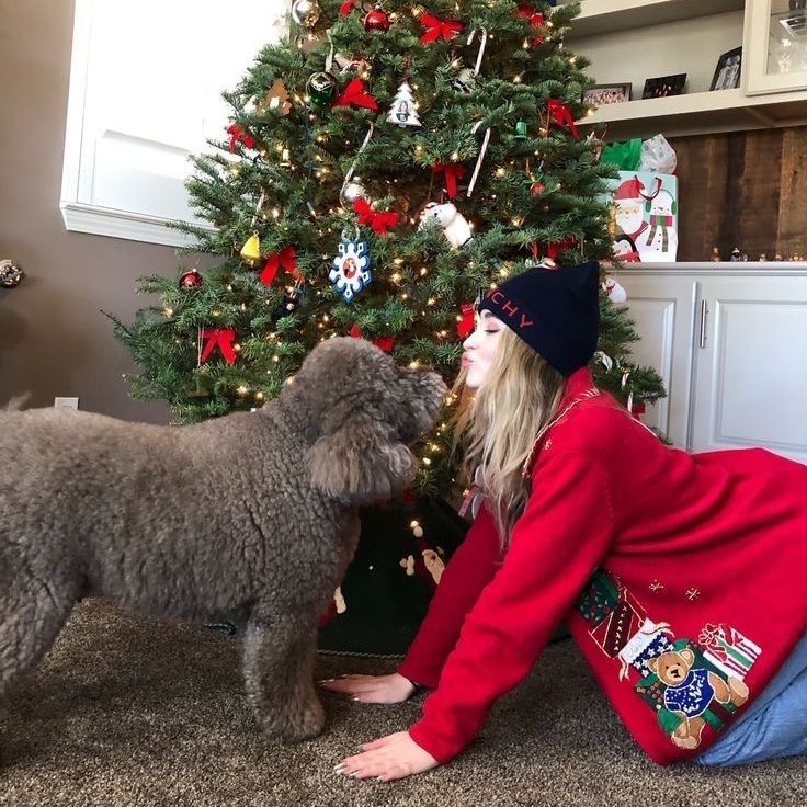 happy christmas eve 🎄❤️