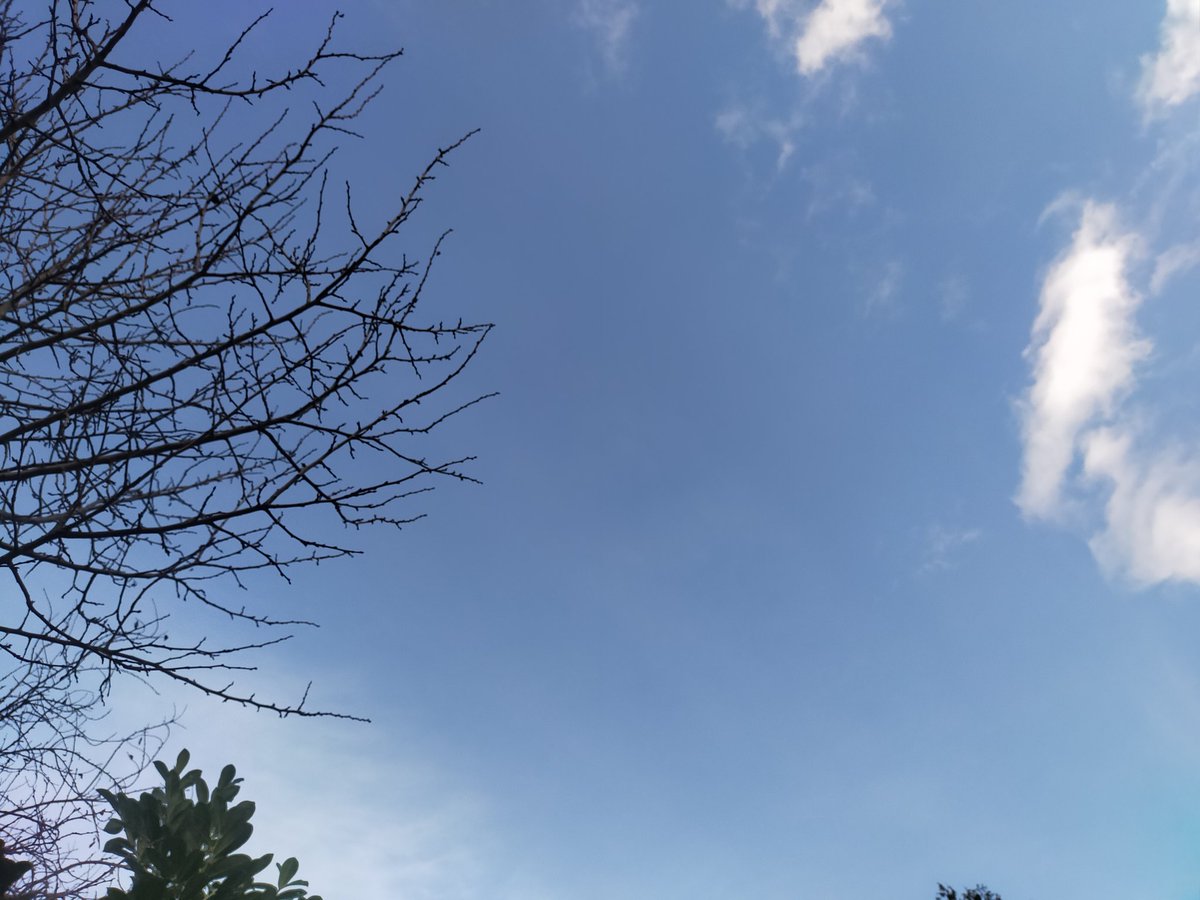 Kurierprinzess1's tweet photo. @merz_andreas Bin sehr #erwachsen mit der #Situation umgegangen, bin mit der #Straba ( 50%Maskenlos) in die Stadt gefahren zur Garage und bin mit dem #Omnium zum #Lidl und wieder nach Hause geradelt, dort wurde ich sehr #Herzlich empfangen von der 🌞 https://t.co/4UPX36mMcn