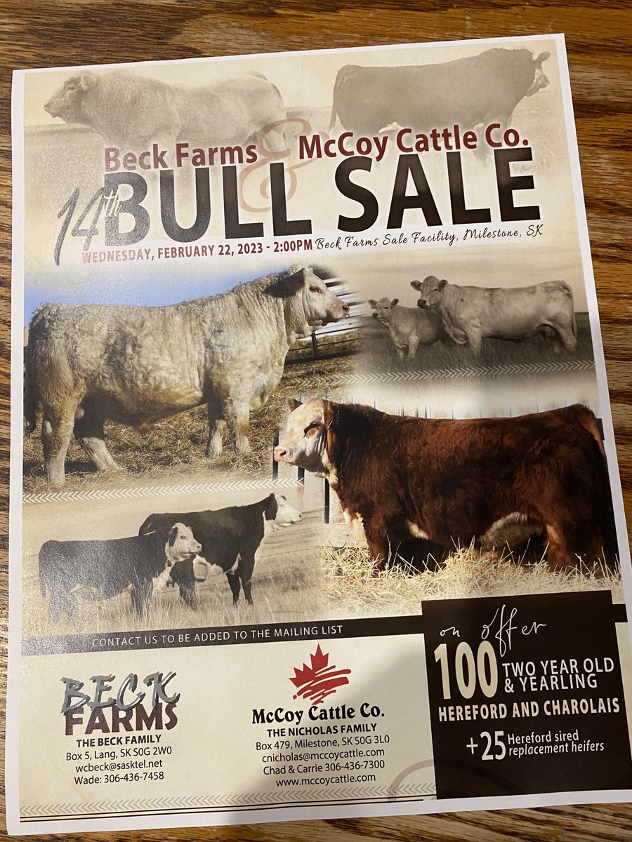 mccoycattle's tweet photo. It’s getting to be that time of year. Message or call if you want to be on our mailing list. Sale under new management (no management) so don’t assume you will receive if you have in the past. ⁦@CAN_Hereford⁩ https://t.co/XdxKv0Jczd