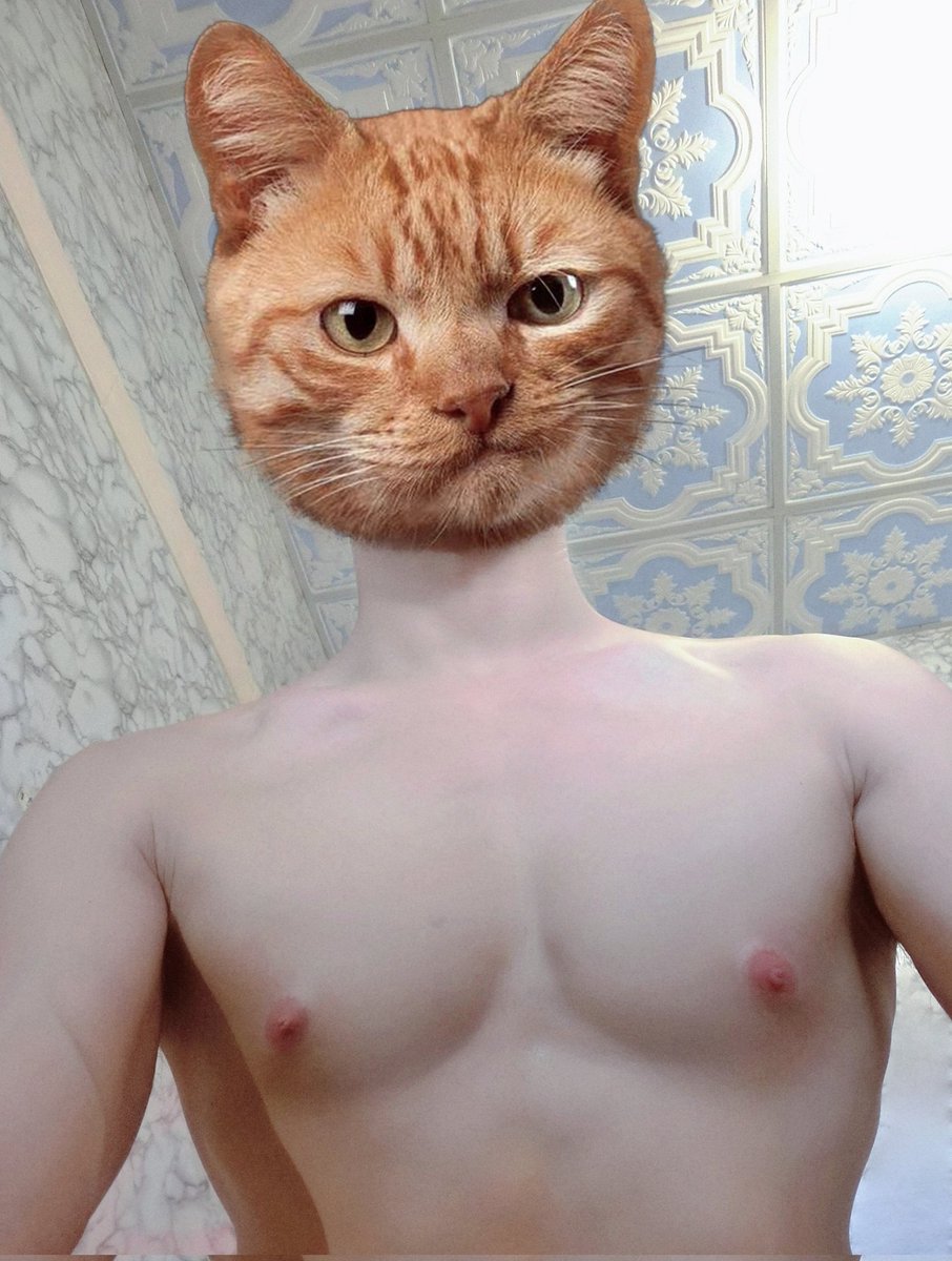 Merry X แมว 🎄🎄🎄