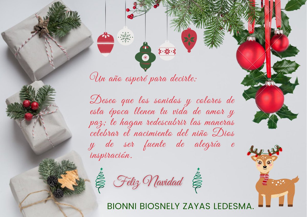 Feliz Navidad!