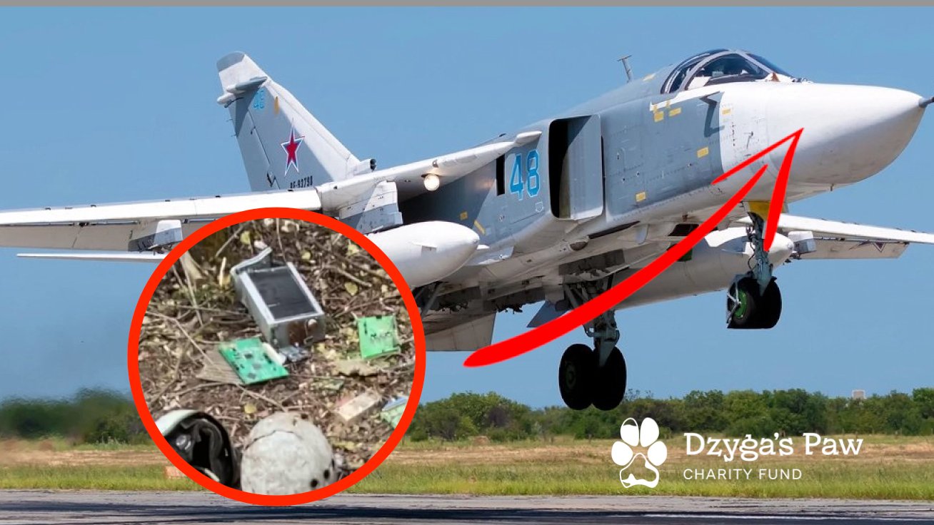 Mykhailo on Twitter: "I received bizarre microchips from the downed Russian  SU-24M near Bakhmut. Research revealed that at least one microchip is part  of the SVP-24 automatic targeting system. As you can