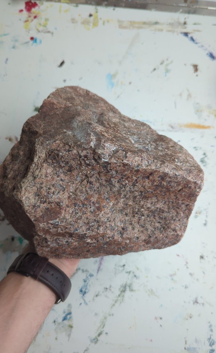 Monotone Frucht tweet media