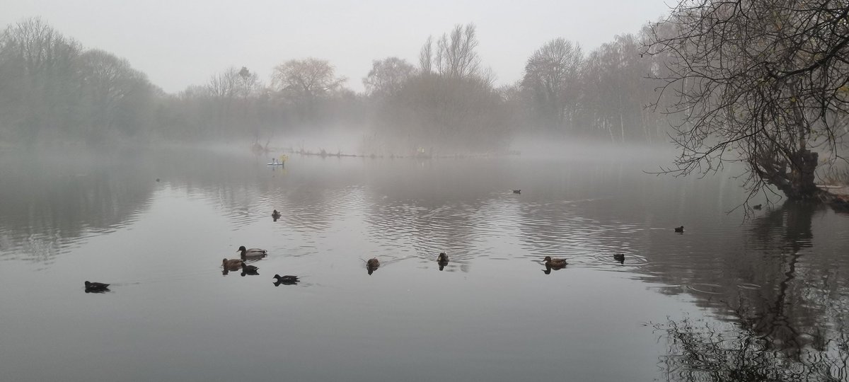 flixtongreenFA's tweet photo. December on Jack Lane and Duttons Shimmering, misty and atmospheric. The red flash gives the woodpecker an almost festive look. The team would like to wish all a happy and safe festive period with your loved ones and keep enjoying these special spaces. 
🌲🎅🌲❄️ FGFA ❄️🌲🎅🌲 https://t.co/rB7Xsyd3Oj