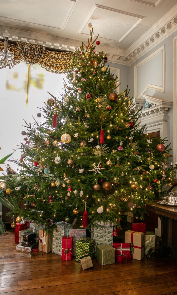 Wishing all of our wonderful visitors &amp; followers a very #HappyChristmas. We’re so grateful for your continued support 🎄✨

A special thank you to our staff, volunteers, creatives &amp; suppliers for making #Doddington so special. 

📷 <a href="/Instinctivejs/">Instinctive Photography</a>