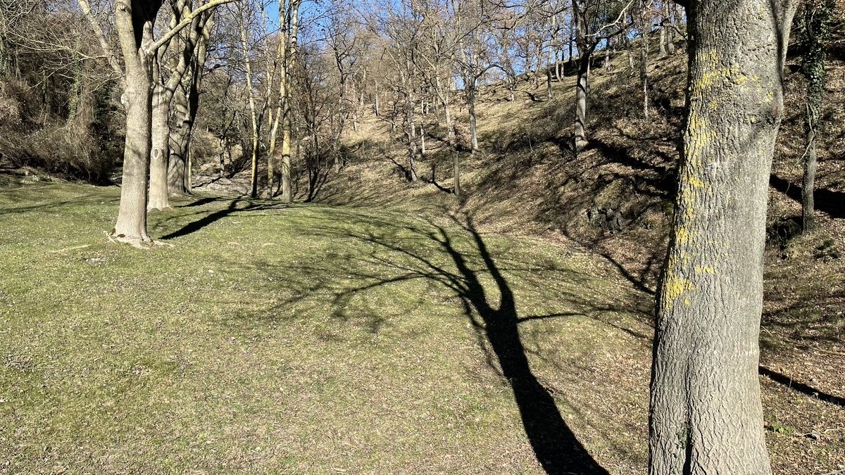 Anna Crosas tweet media