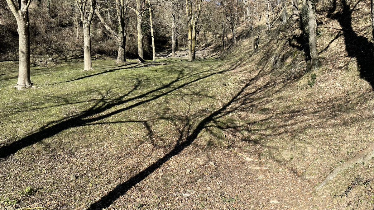 Anna Crosas tweet media