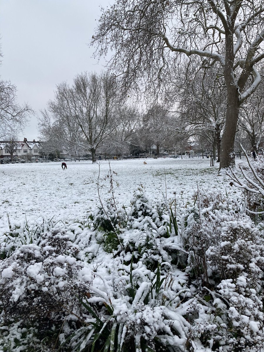 Merry Christmas park-lovers! 🎄