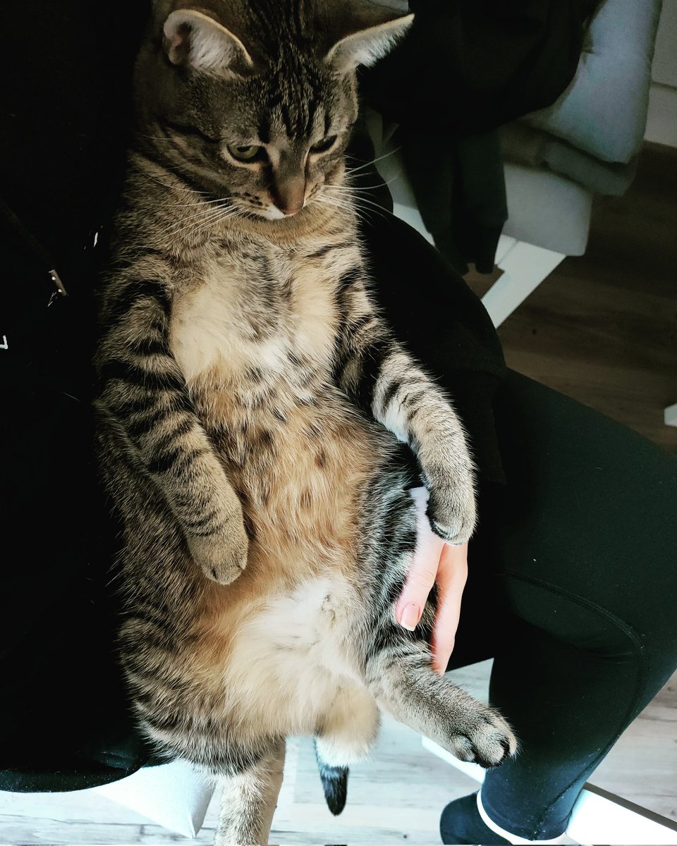 tatminar's tweet photo. @Sissorstream Frohe Weihnachten Thereso 🥰 https://t.co/DO0PuKPvrR
