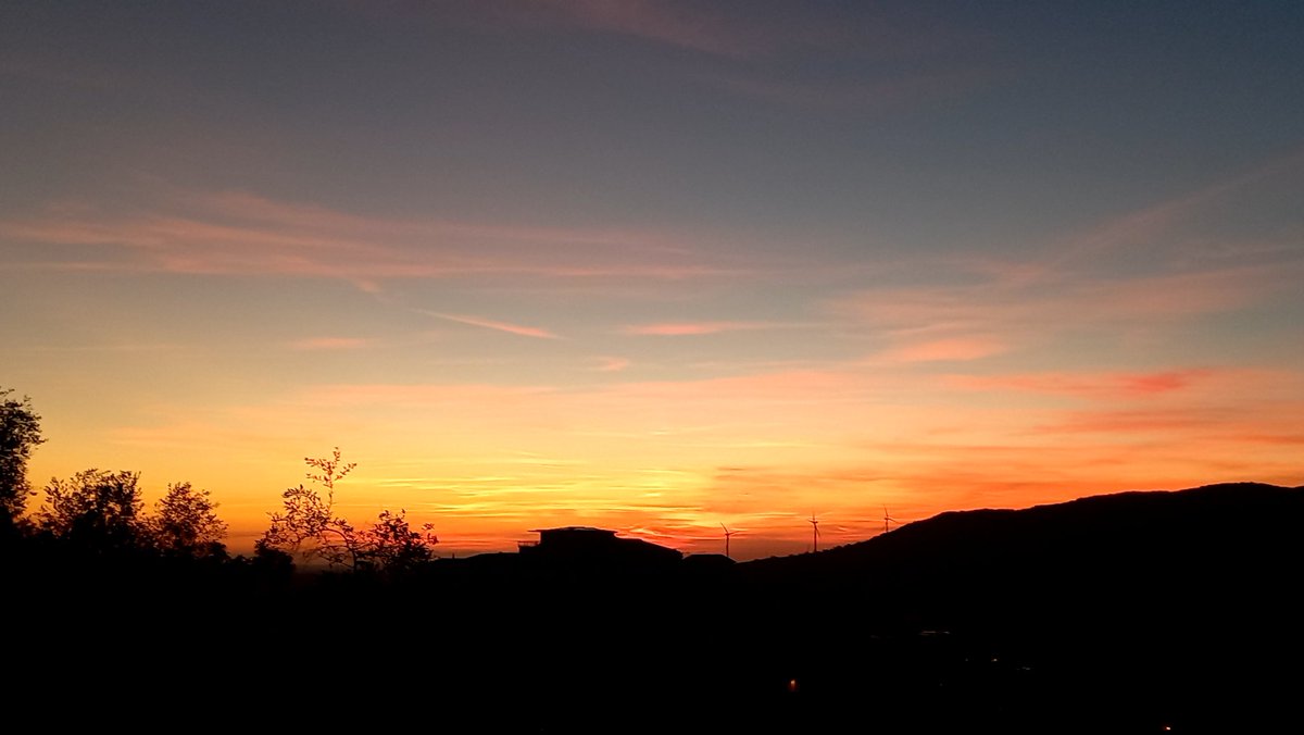 "L'inaspettato che non smetti di aspettare.
È quello.
L'unità di misura della speranza."
C.L. Candiani 
Di cuore un sereno Natale a tutti!
#AuguriASalaLettura