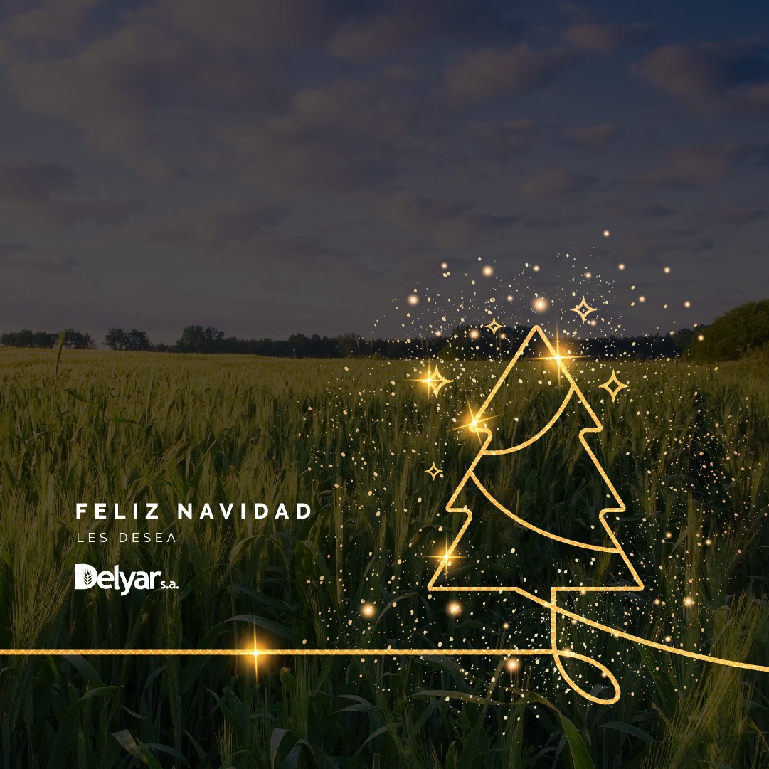 Delyar SA tweet media