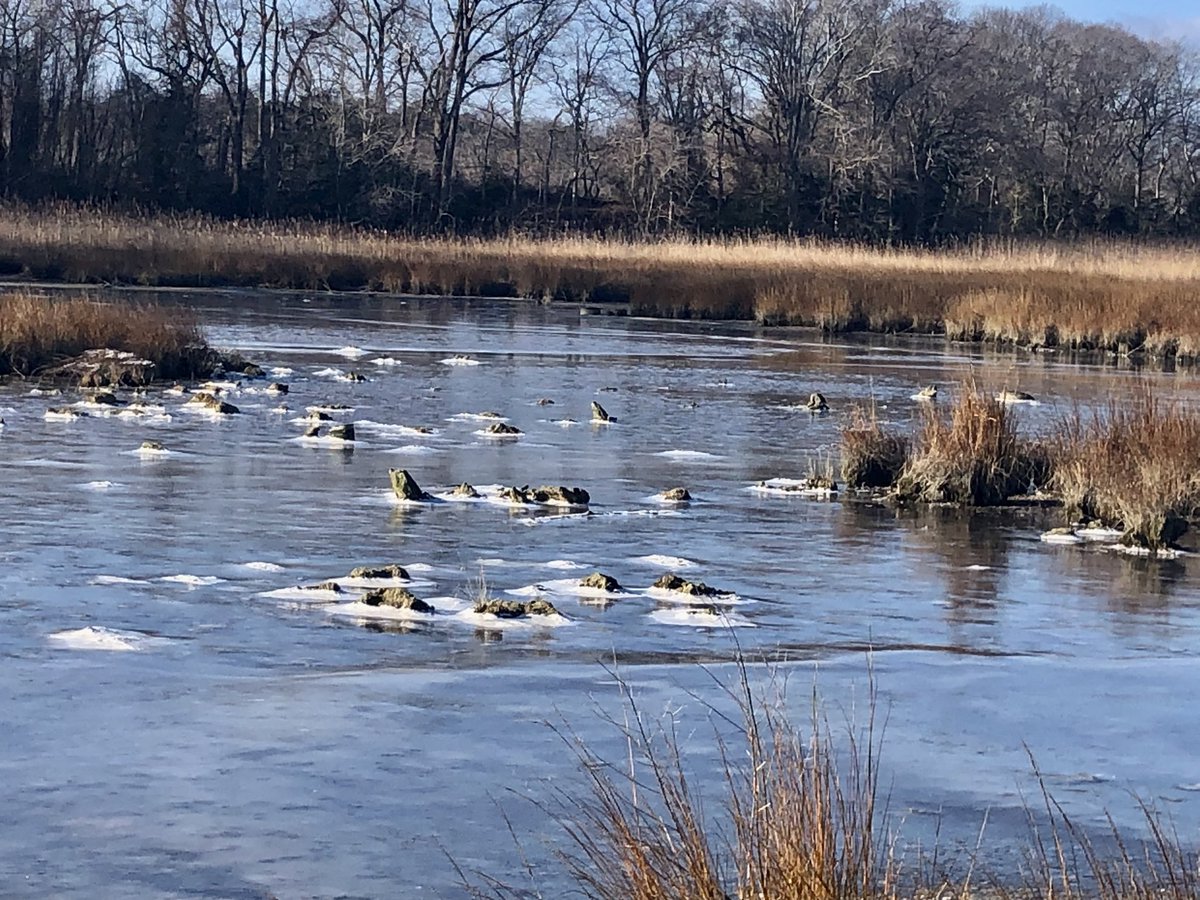 Pastor_Jim's tweet photo. #ThePsalms #Psalm86
All the nations you have made shall come and worship before you, O Lord, and shall glorify your name.Psalm 86:9 #PsalmForToday #mymorningpromenade🏃 #stuffiliketolookat https://t.co/okDeGppVVL
