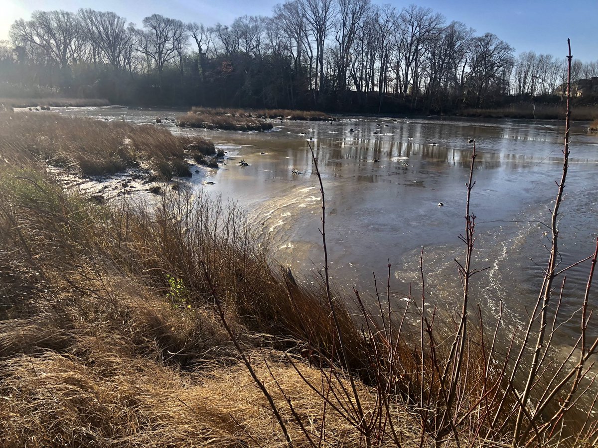 Pastor_Jim's tweet photo. #ThePsalms #Psalm86
All the nations you have made shall come and worship before you, O Lord, and shall glorify your name.Psalm 86:9 #PsalmForToday #mymorningpromenade🏃 #stuffiliketolookat https://t.co/okDeGppVVL