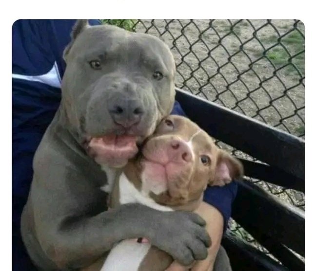 Quand t'as déjà tout régler pour les fêtes