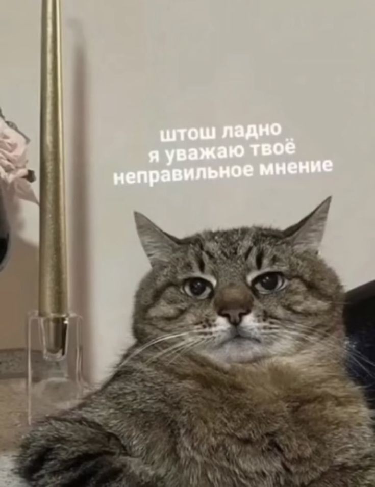 rishhlw's tweet photo. когда ты полемист: https://t.co/yjCYkZrcsx