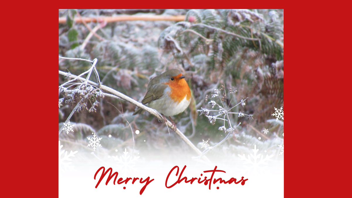 Happy Christmas to you all and wishing you all the best in 2023!

Thank you to everyone who has stayed with us and to the staff and volunteers who support us to help keep this wonderful place going.

This robin was spotted by one of our volunteer wardens.