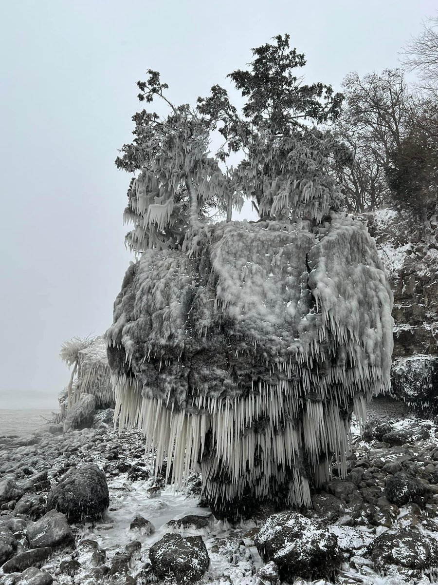 LakeOntario16's tweet photo. Lake Erie is showing her underside at Lake Erie Islands(Put In Bay) Ohio!!! SEICHE!!what a significant water disturbance 🌊🌊🌊
📸: Barry Koehler
@LakeErieNorth @GreatLakes7919 @PutinBayOhio #GreatLakes #ONstorm @wx_MikeDoyle @EricSnitilWx @scotthetsko @NWSBUFFALO @weathernetwork https://t.co/rLwshOw6xl