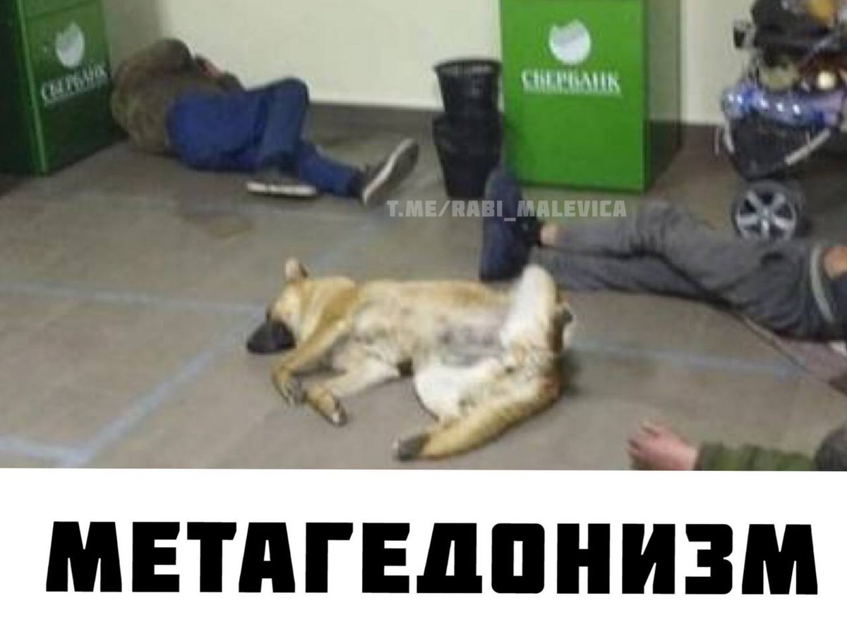 _Sulime's tweet photo. Можно и так сказатб https://t.co/exeAu8gGBa