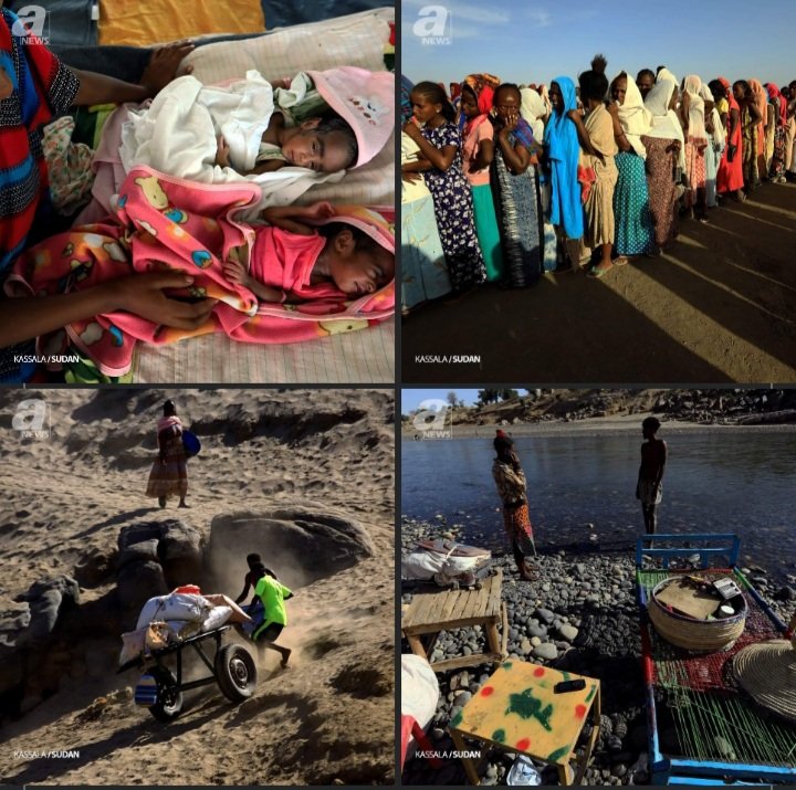 Sara42219910's tweet photo. A documentary on z ongoing #TigrayGenocide byRomanDebotch is coming Denver Sunday November 
Watch with us thefilm goalis to spread awareness on thecivilwarand humanitarian crisis.Allfundswillbe donated https://t.co/AjSCKfenmP #AllowAccessToTigray #TigrayFamine @UN_HRC @WFP @hrw💔 https://t.co/6puQJo9tOm
