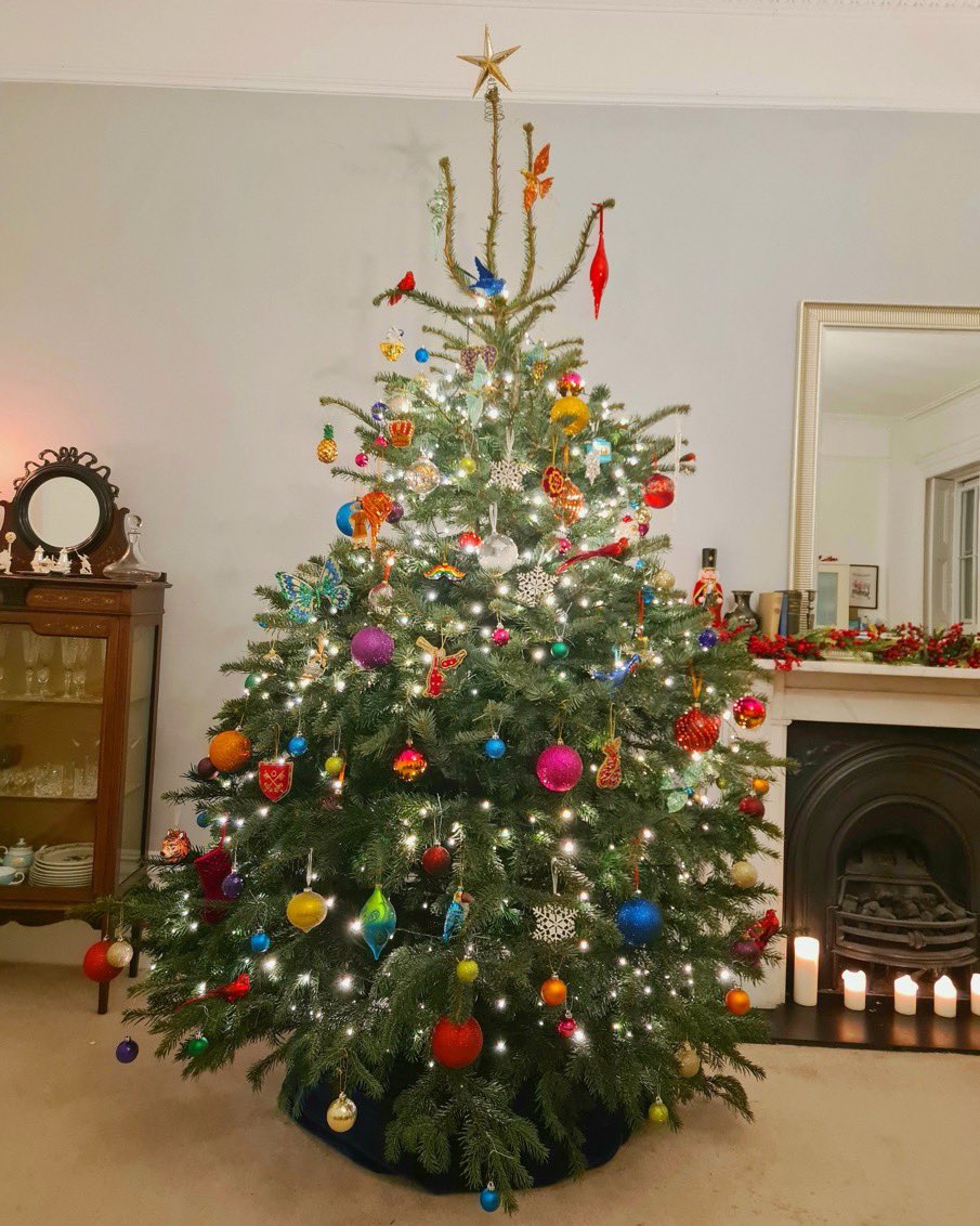 williamhanson's tweet photo. The Golden Bauble award, however, is a three-way split with these really lovely trees. Congratulations @tweeting_keith @Alexstock1996 @teriwarke #pickytree https://t.co/Fb2SvwPFrr